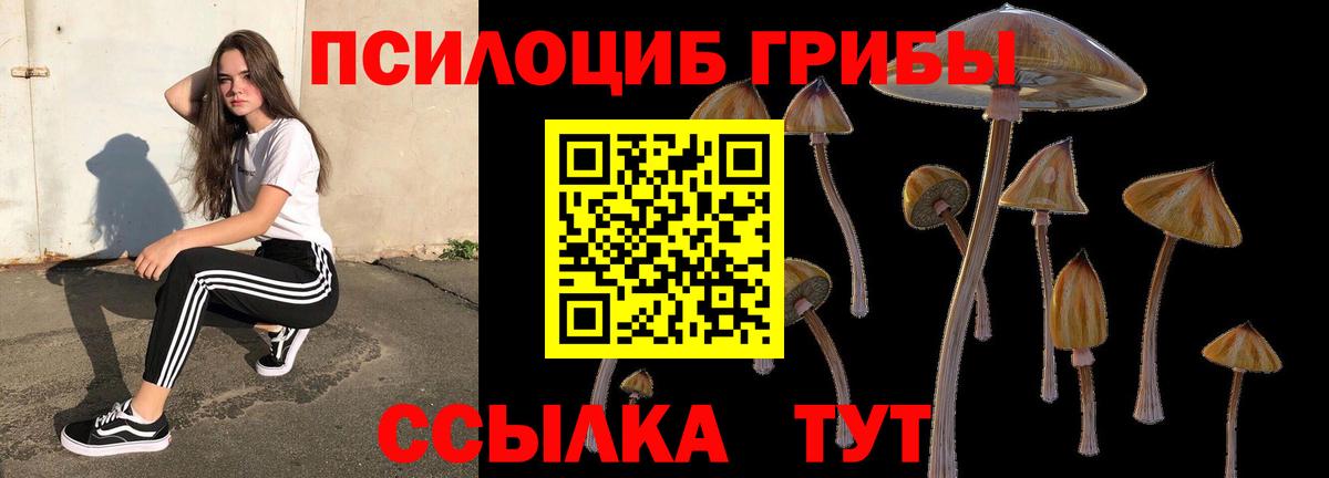 Псилоцибиновые грибы прущие грибы  Вход с VPN  Трёхгорный 