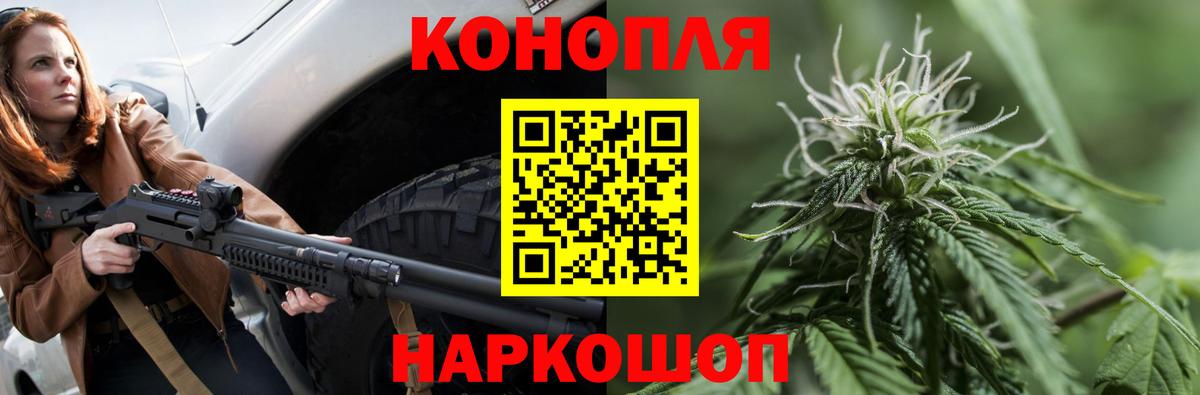 Бошки Шишки ГИДРОПОН  Вход с VPN  Канабис марихуана  Трёхгорный 
